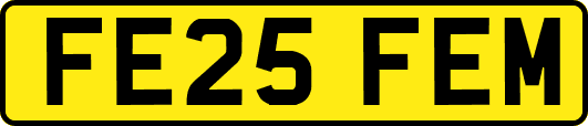 FE25FEM