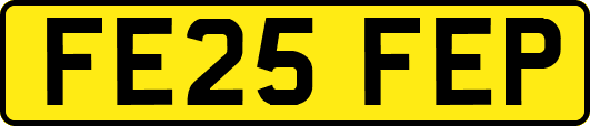 FE25FEP