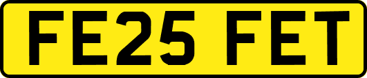 FE25FET