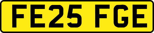 FE25FGE