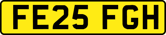FE25FGH