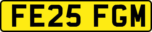 FE25FGM