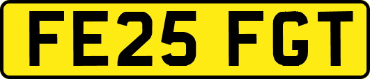 FE25FGT