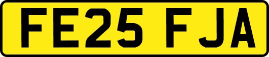 FE25FJA