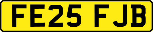 FE25FJB