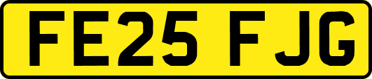 FE25FJG