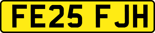 FE25FJH