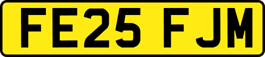 FE25FJM