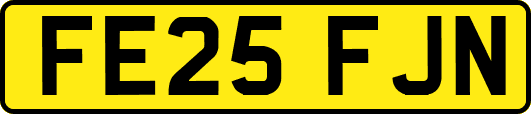 FE25FJN