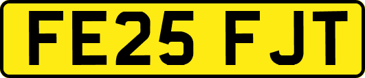 FE25FJT