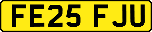FE25FJU