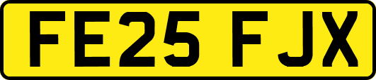 FE25FJX