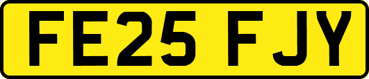 FE25FJY