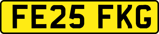 FE25FKG