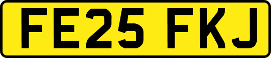 FE25FKJ