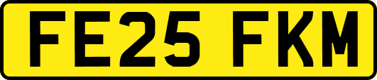 FE25FKM
