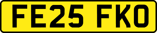 FE25FKO
