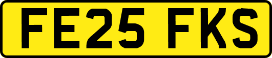 FE25FKS