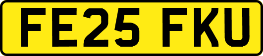 FE25FKU