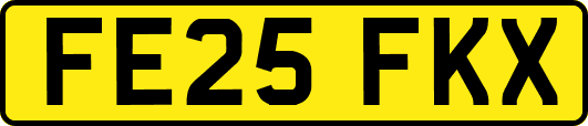 FE25FKX