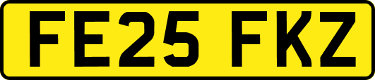 FE25FKZ