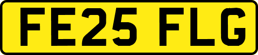 FE25FLG