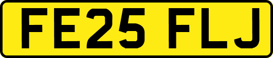 FE25FLJ