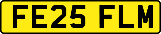 FE25FLM