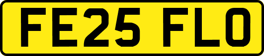 FE25FLO