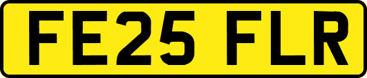 FE25FLR