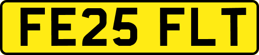 FE25FLT