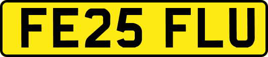 FE25FLU