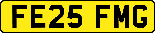 FE25FMG
