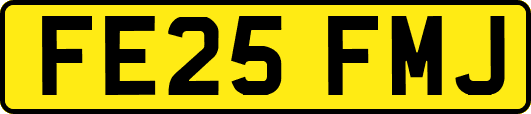 FE25FMJ