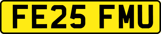 FE25FMU
