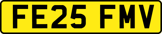 FE25FMV