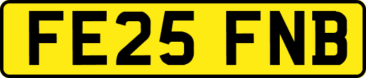 FE25FNB