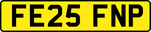 FE25FNP
