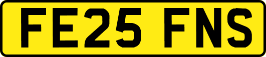 FE25FNS