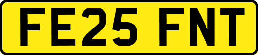 FE25FNT