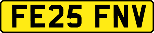 FE25FNV