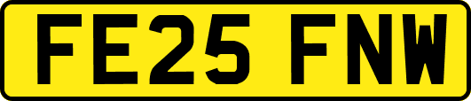 FE25FNW