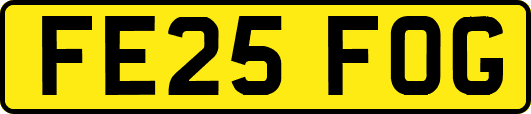 FE25FOG