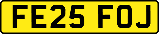 FE25FOJ