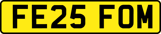 FE25FOM