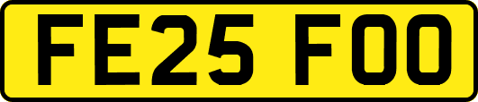 FE25FOO