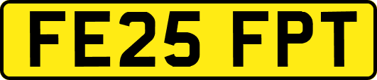 FE25FPT