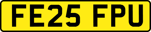 FE25FPU