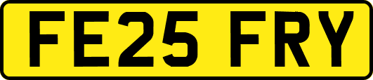 FE25FRY