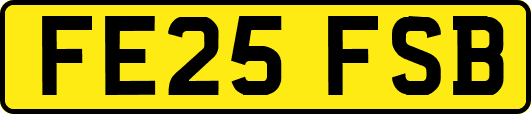 FE25FSB